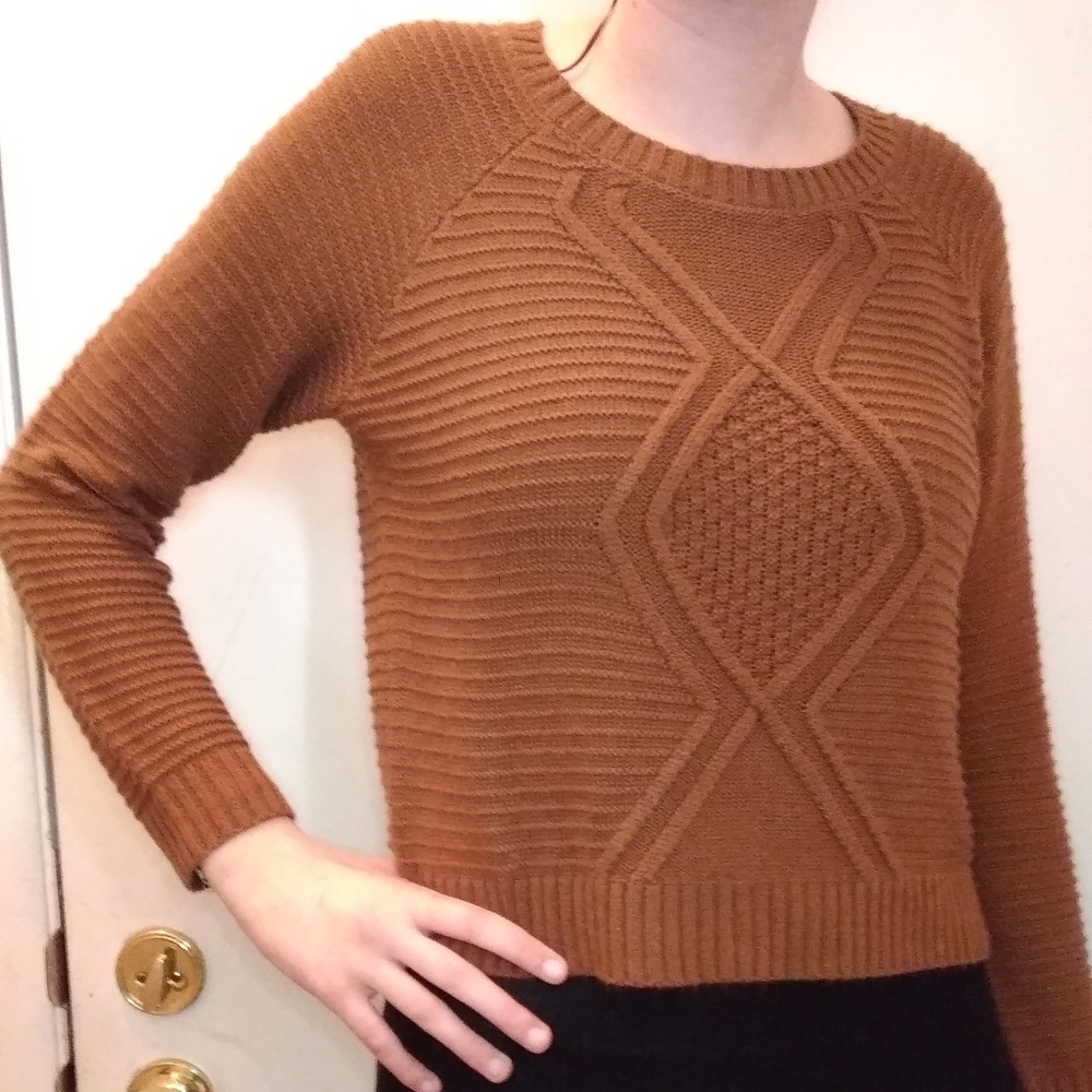 Brown Pink Rose Sweater Size L (Large)